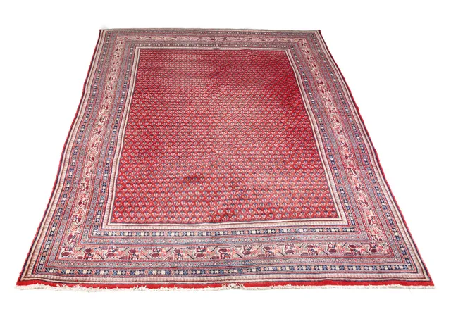 Oriental rug, 305 x 210