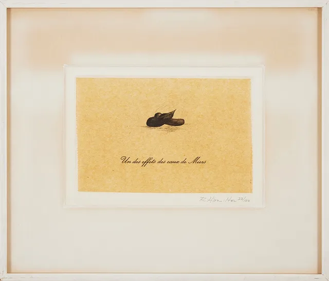 RICHARD HAMILTON. "Un des effets des eaux de Miers", ur: "Eighteen Small Prints", 1973, 18 x 12 cm.