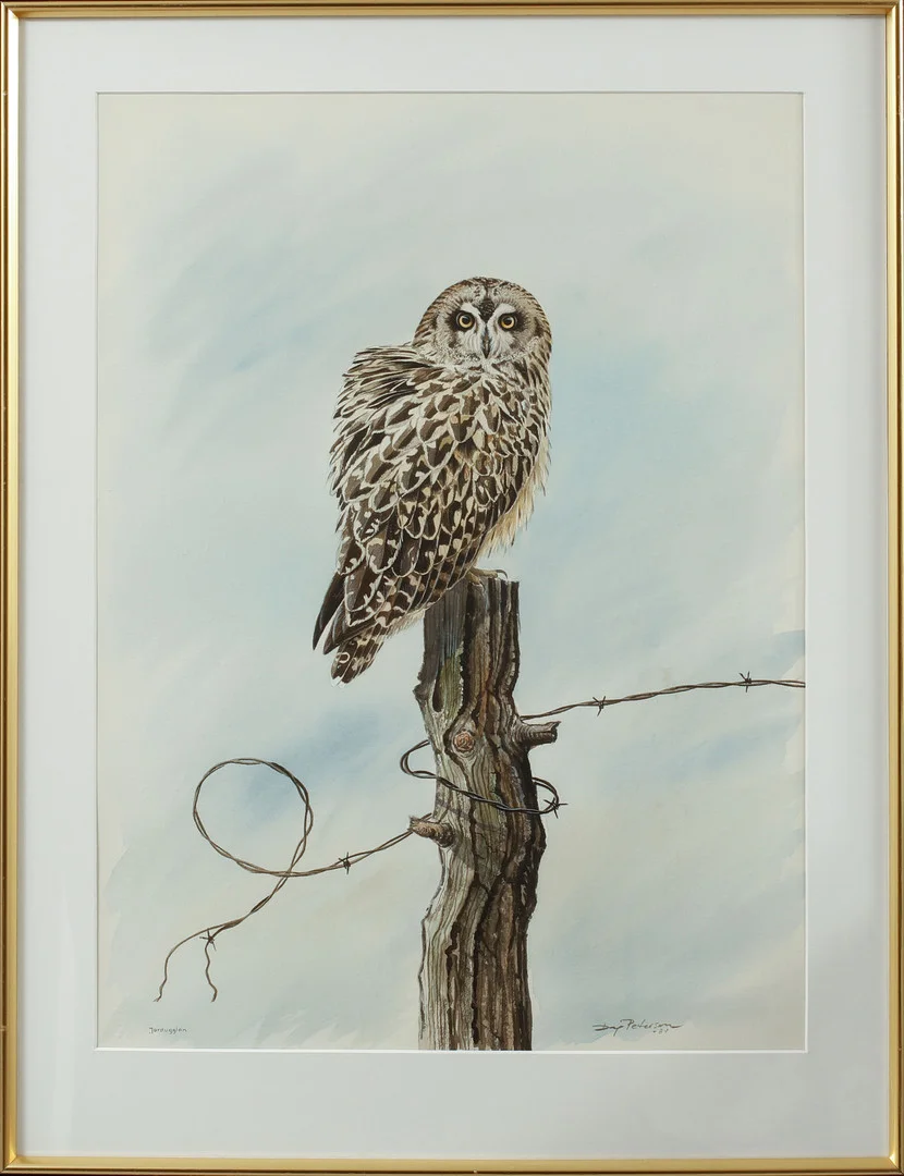 DAG PETERSON. "Jordugglan", akvarell, signerad. — Paintings — Göteborgs Auktionsverk