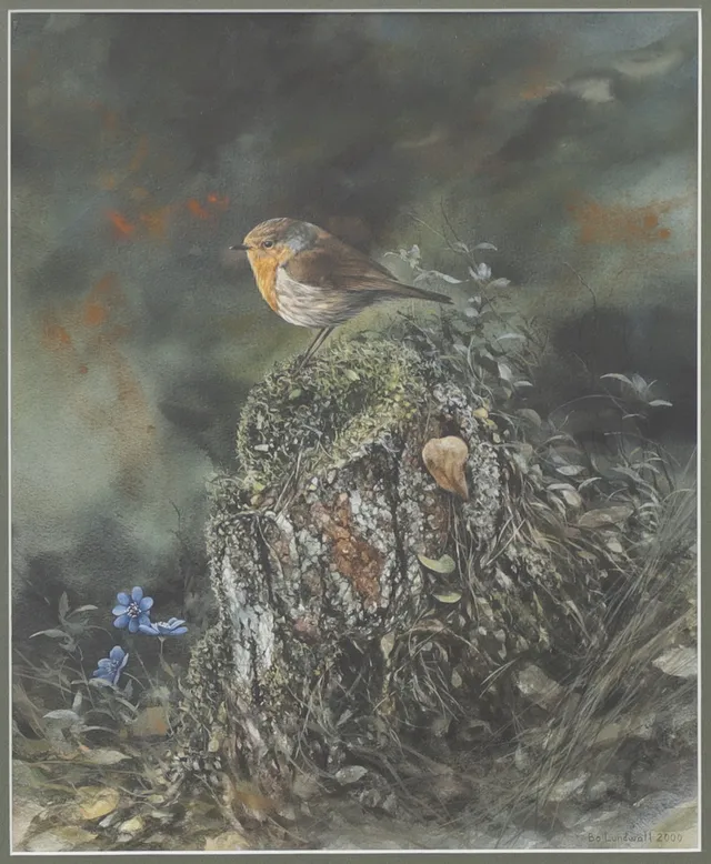 BO LUNDWALL. Rödhake, akvarell, signerad, daterad -2000.