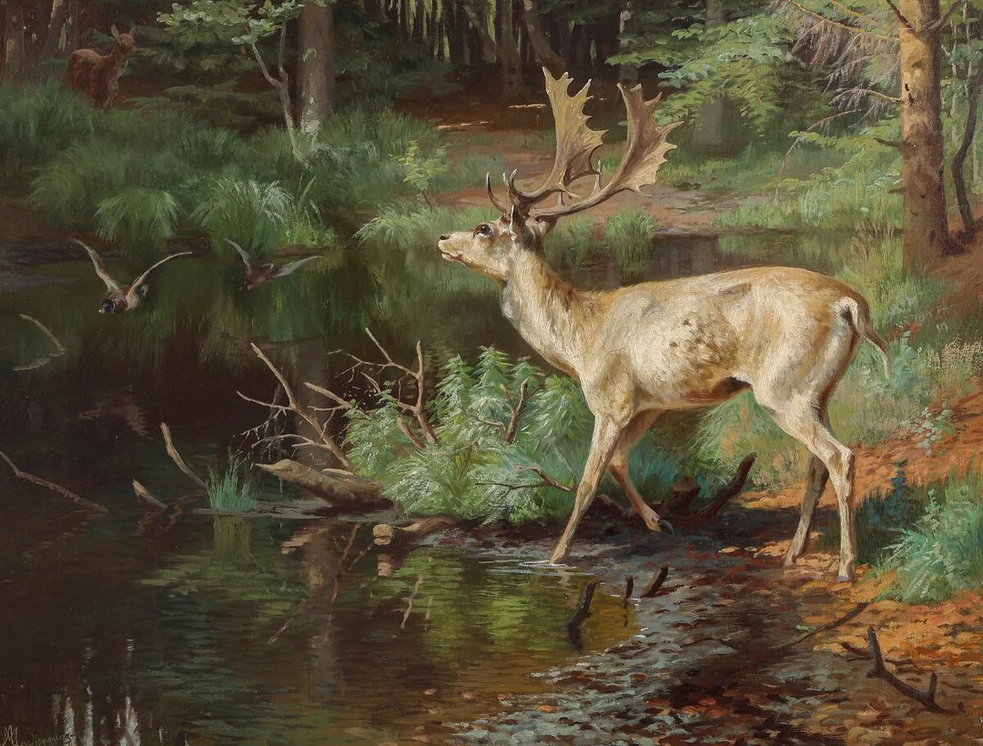 Forest scene with a fallow deer by a forest lake. Signed Mackeprang. Oil on canvas. 61.5 × 80 cm. — Paintings — Bruun Rasmussen