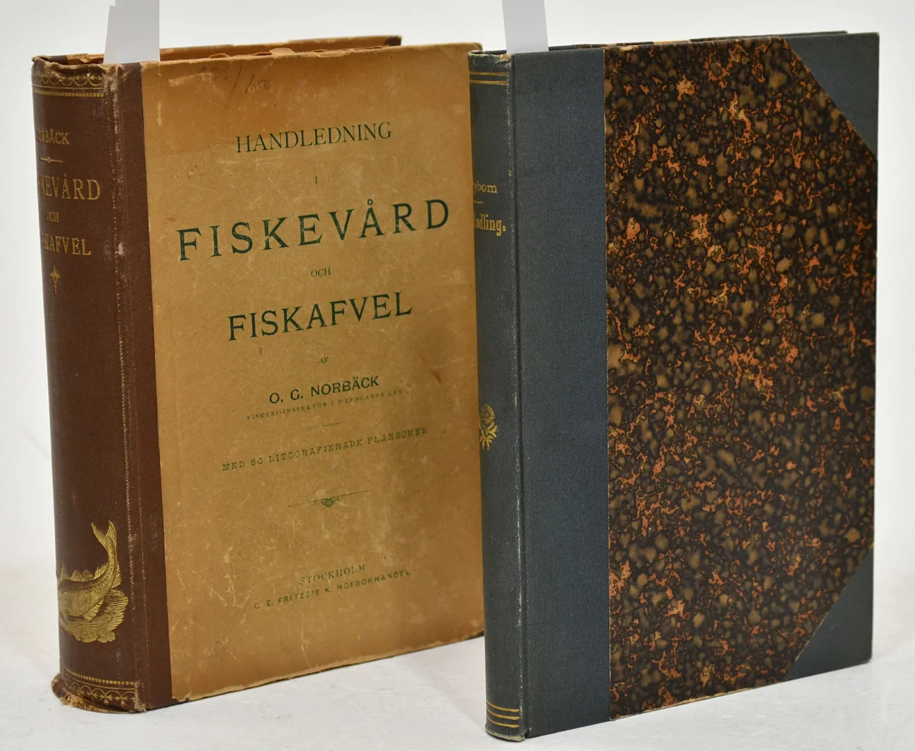 Handledning i fiskevård och fiskafvel / Fiskevård och fiskodling. 2 vol. — Books — Connoisseur Bokauktioner