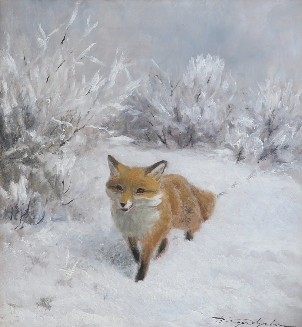 BIRGER HJELM. Olja på duk, Räv i vinterlandskap, signerad. — Paintings — RA Auktionsverket Norrköping
