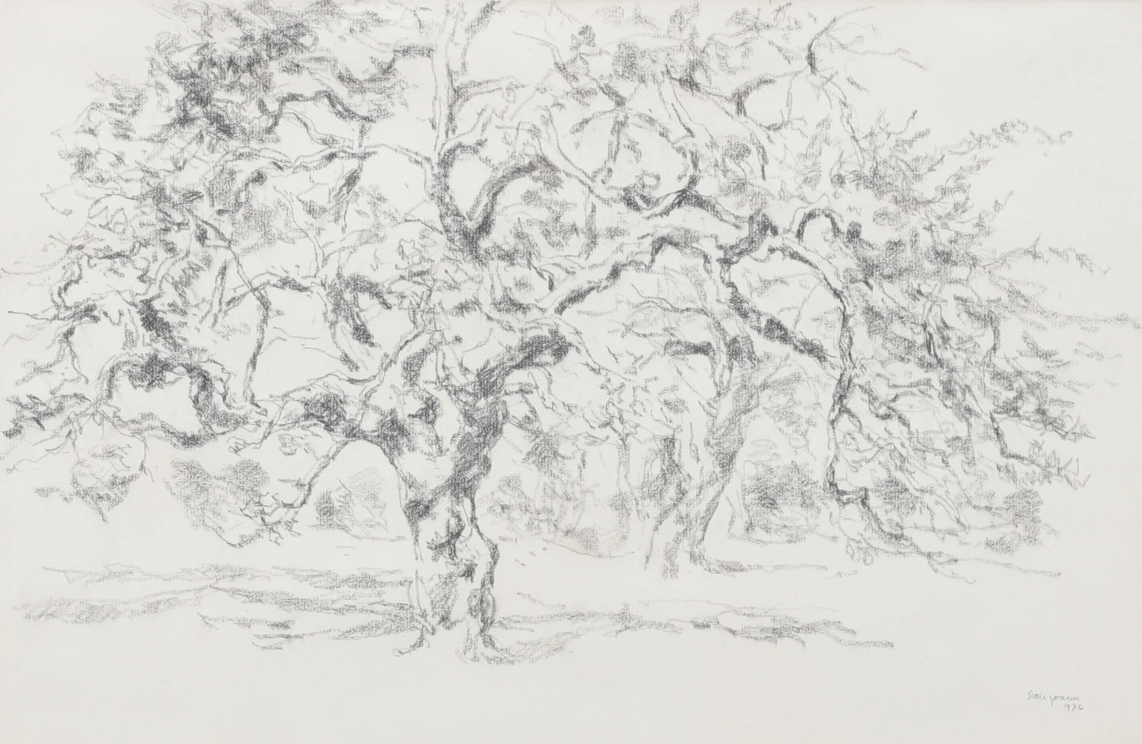 SVEN JOANN. "Gammalt äppelträd, Lönås", teckning, signerad och daterad. — Drawings — Växjö Auktionskammare
