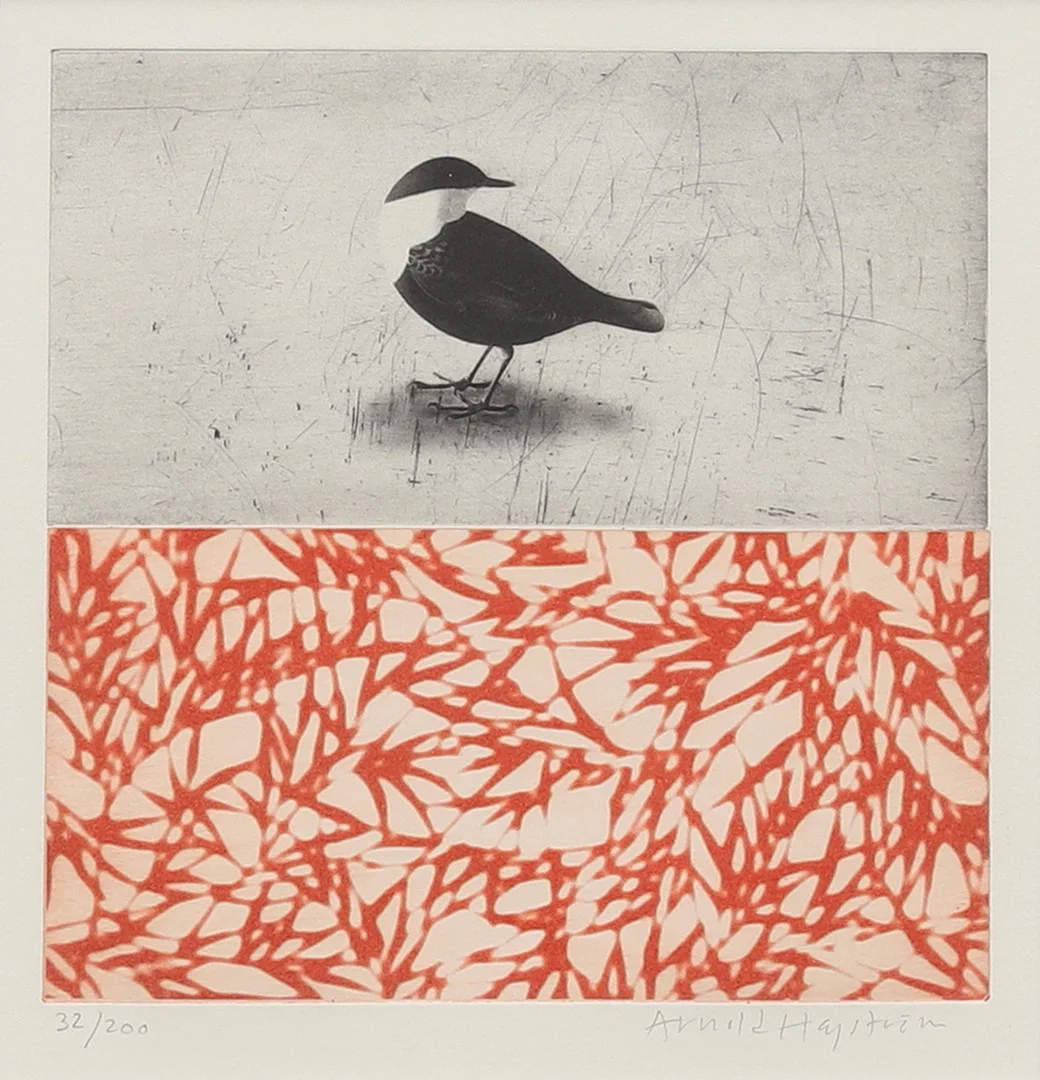 ARNOLD HAGSTRÖM (FÖDD 1958). Sjöfågel, färgetsning nr 32/200, signerad. — Engravings & Prints — Garpenhus Auktioner