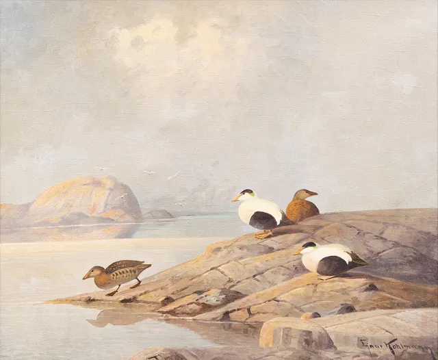 EJNAR KOHLMANN (FINLAND, 1888-1968). Änder vid skär, olja på duk, signerad.