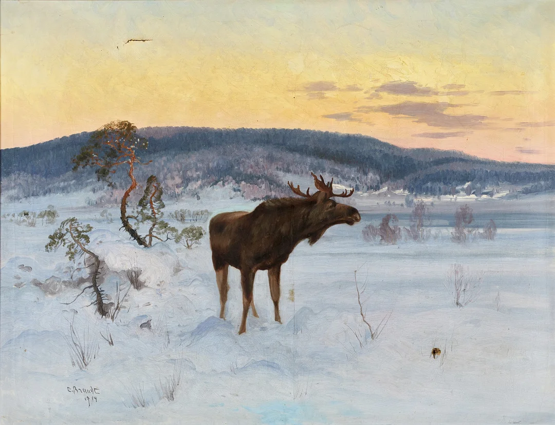CARL BRANDT (1871-1930), Älgtjur i vinterlandskap, signerad och daterad C Brandt 1914, olja på duk. — Paintings — Crafoord Auktioner Stockholm