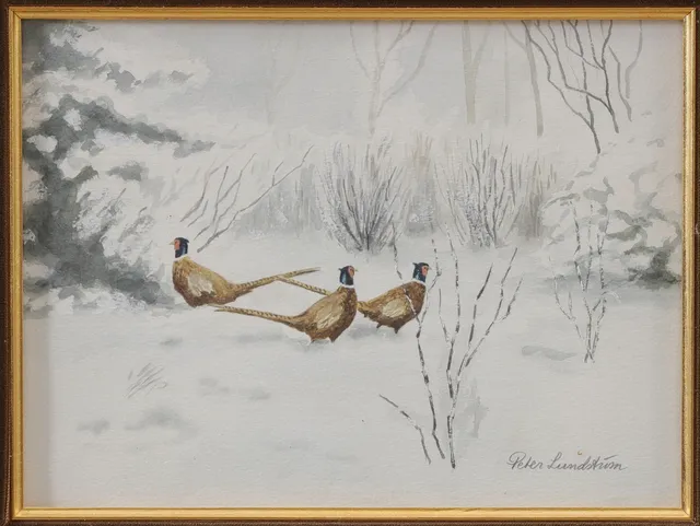 PETER LUNDSTRÖM. Akvarell, Skogsfåglar, signerade.
