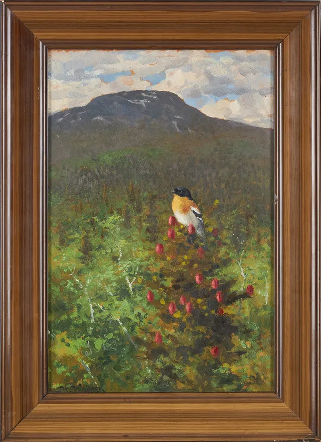 THURE WALLNER. "Bergfink", olja på pannå, signerad Th Wallner.