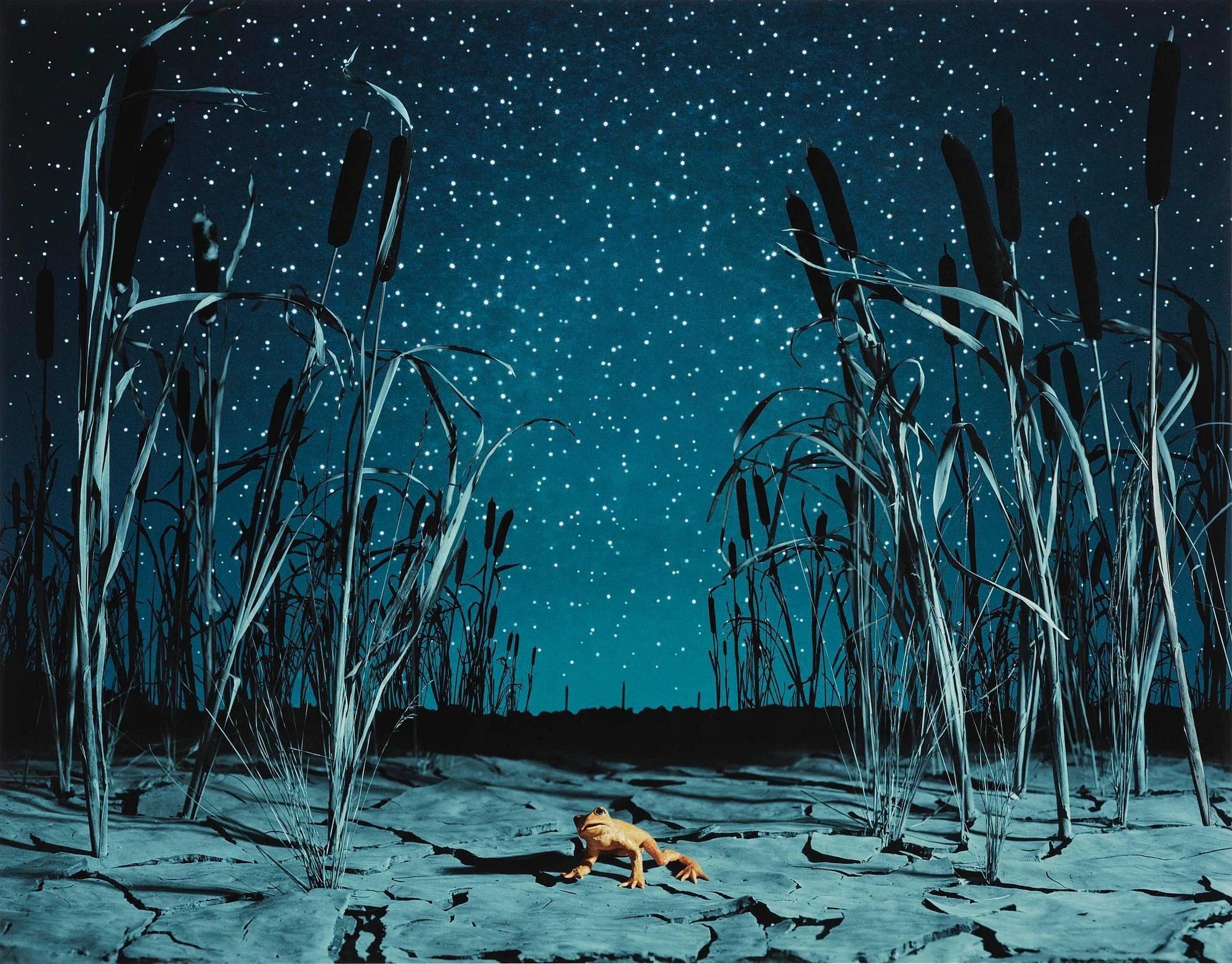 Helena Blomqvist, "Last Night for the Last Golden Frog", 2008. — Bukowskis