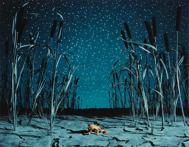 Helena Blomqvist, "Last Night for the Last Golden Frog", 2008.
