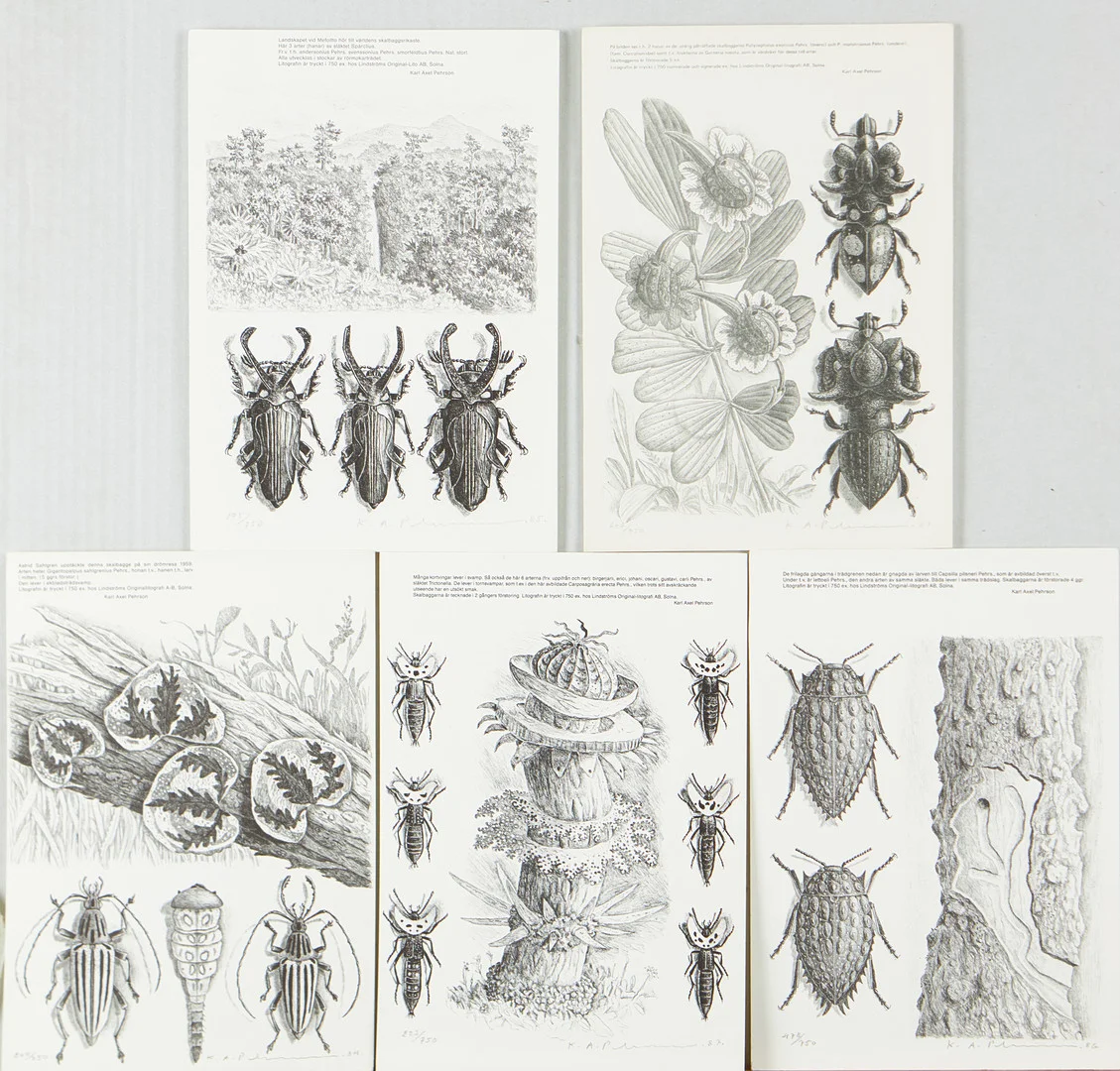 KARL AXEL PEHRSON. Motiv av skalbaggar, 6 litografier, varav en i färg, samtliga signerade och numrerade. — Engravings & Prints — Stockholms Auktionsverk Magasin 5