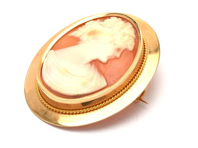 Brosch 18K 7,1g 4cm med Camé