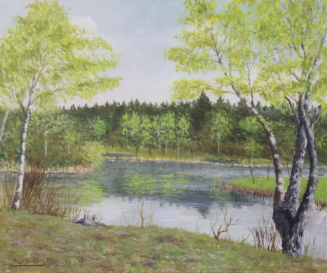 HUGO WIHLBORG (1879-1956). olja på duk, björkar vid vatten.