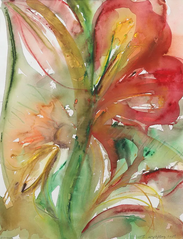 ELISABETH WEJSFLOG. Amaryllis, akvarell signerad Elisabeth Wejsflog 2008.