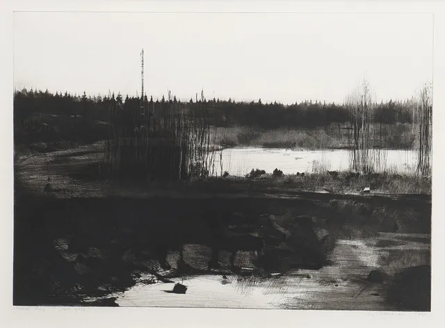 LEIF OLAUSSON. TORRNÅLSGRAVYR, "SVART GULD", SIGNERAD 1984 OCH NUMRERAD 22/50.
