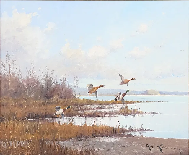 EJNAR KOHLMANN. Strandmotiv med fåglar, olja på duk, signerad.