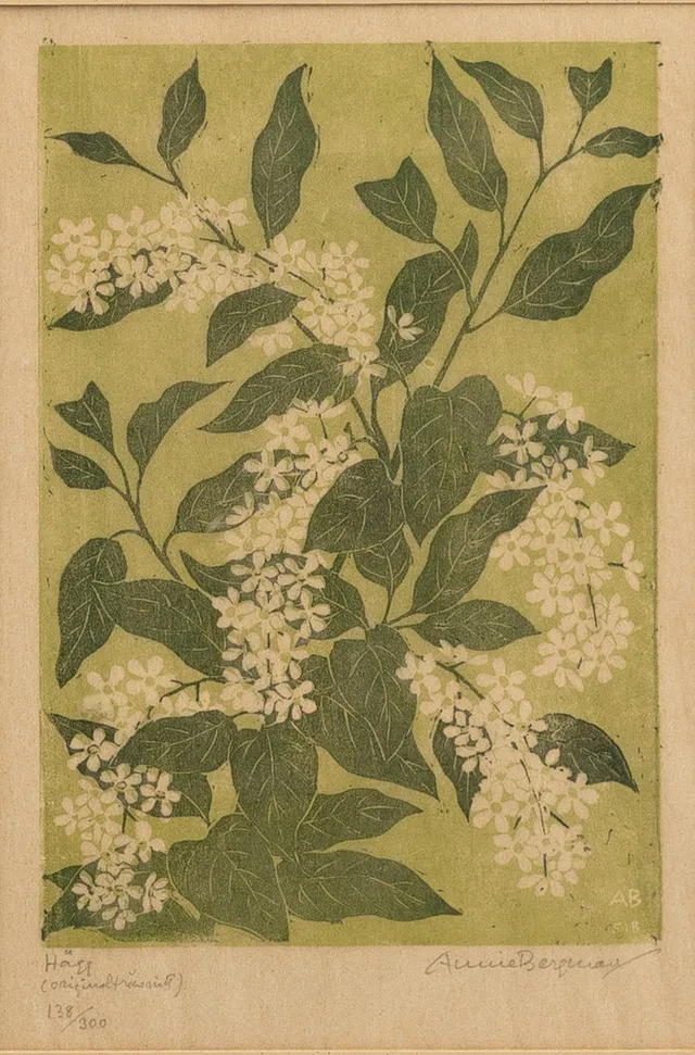 ANNIE BERGMAN (1889-1987). "Hägg#, Träsnitt, numrerat och signerat, 138/300.