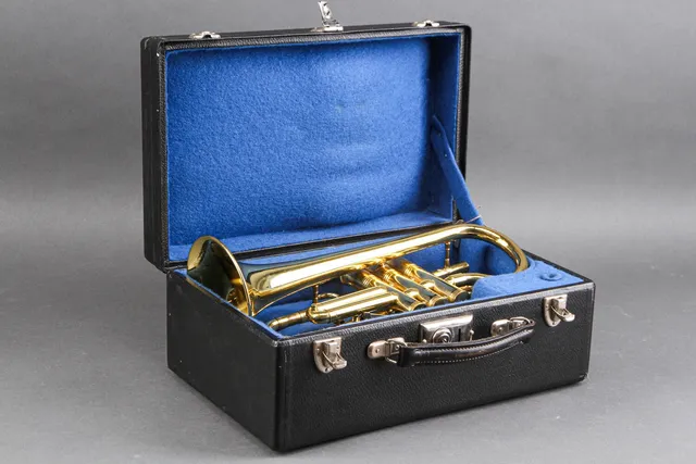 Hüttl Cornet
