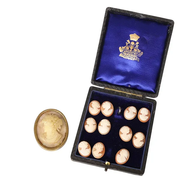 A GRAND TOUR 19TH CENTURY OVAL WAX CAMEO CLASSICAL PORTRAIT BUST OF A LADY (12).