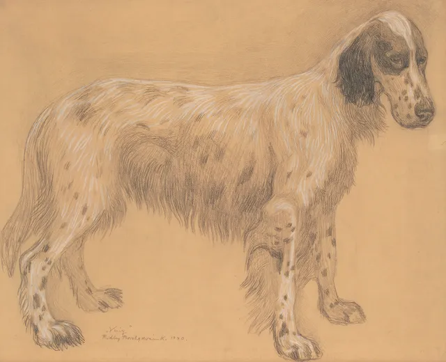 Borchgrevink, Ridley — "Vuig" 1940